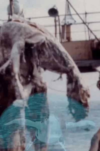 У существа была длинная шея, четыре больших плавника красного цвета