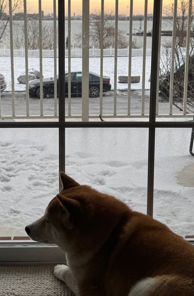 Морозы в Нью-Йорке