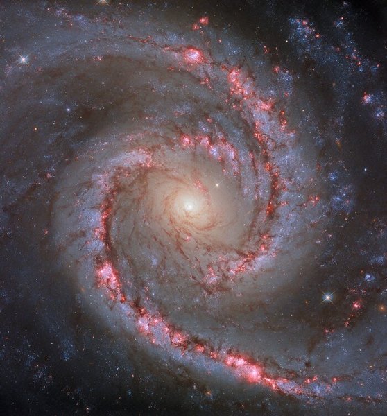 галактика NGC 1566
