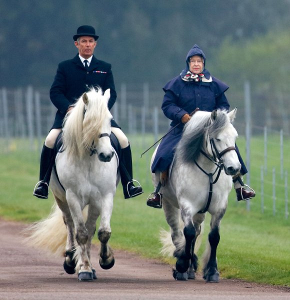 корлева Єлизавета ІІ, конюх Террі Пендрі корлева Єлизавета ІІ, конюх Террі Пендрі, коні
