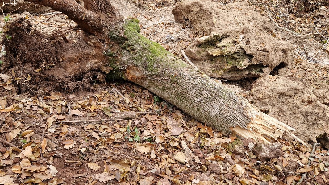 Обвал скалы с водопадом "Девичьи слезы" в Тернопольской области