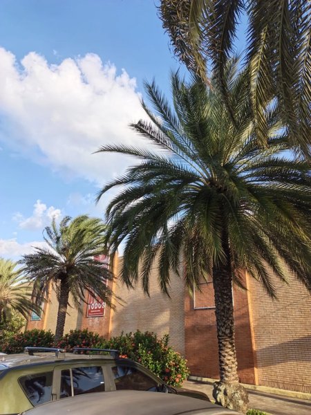 Infinix Note Edge фото Фото на Infinix Note Edge