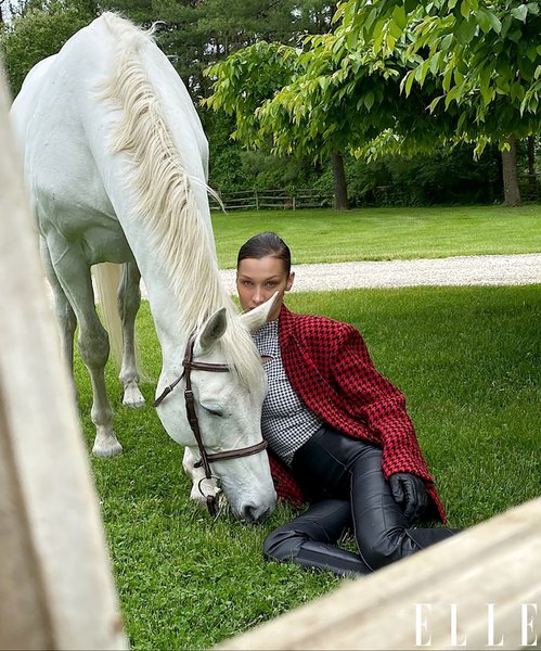 белла хадид