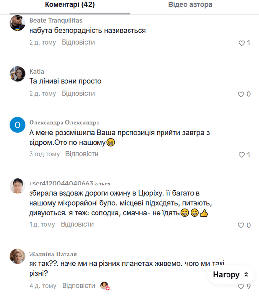 Комментарии пользователей сети