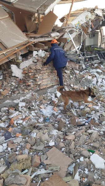 казахстан, самолет, мчс, спасатели