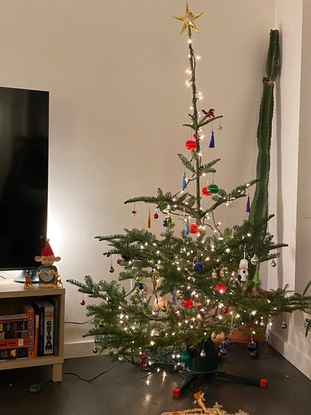 божевільна ялинка, різдвяна ялинка, ялинка в прикрасах, новорічна ялинка, ялинкові прикраси