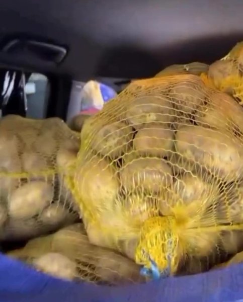 картофи в мрежи картофи в мрежи, BMW M3 Touring, ново BMW M3, BMW комби