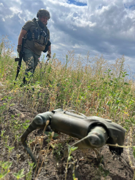 робот собака Україна Робот-собака ЗСУ