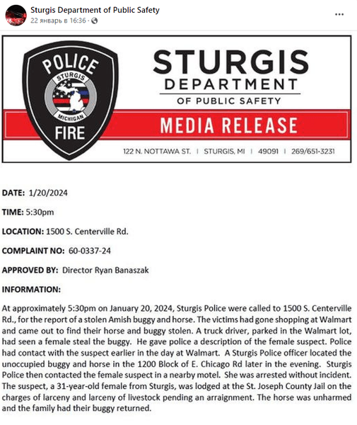 Лошадь с повозкой, семья амишей, угнали лошадь, украли повозку, амиши, супермаркет, полиция, женщина украла лошадь