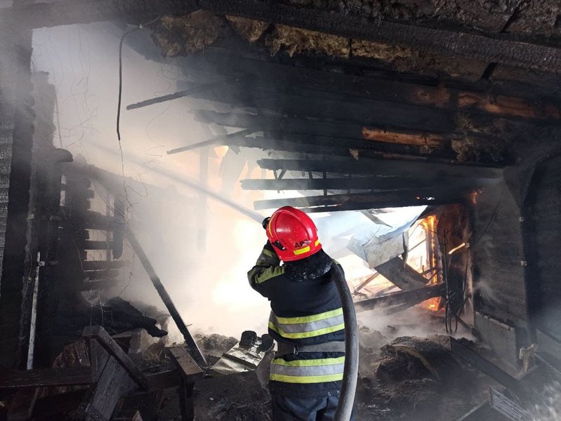 Киев, пожар, парк, Дружбы Народов, Муромец, тушение, кафе, сгорело, возгорание, ГСЧС, спасатели