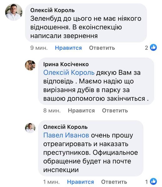 киев, голосеевский парк, дубы, деревья