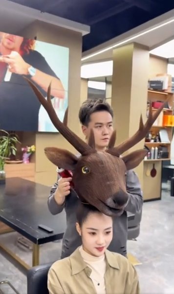 прическа, рога, голова оленя, китай, китайский стилист