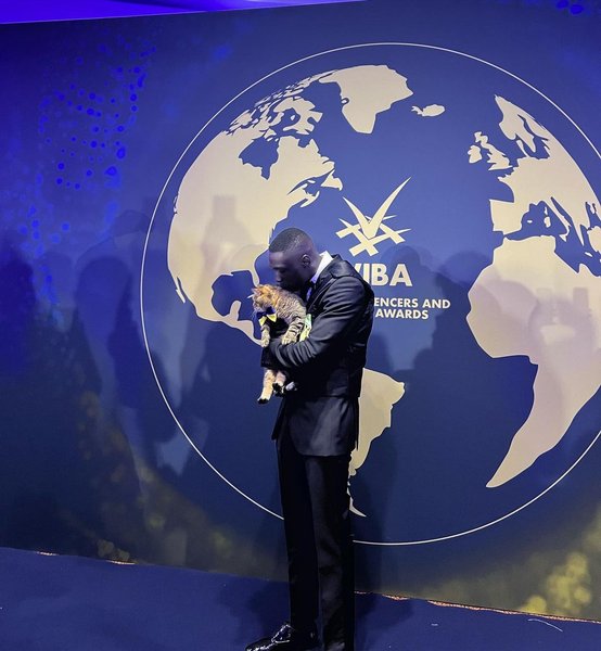 кот степан, хаби ламе, блогерская премия, блогеры