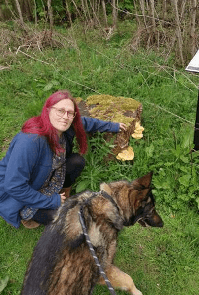 Женщина, собирательство, растения, еда, грибы, природа, собака