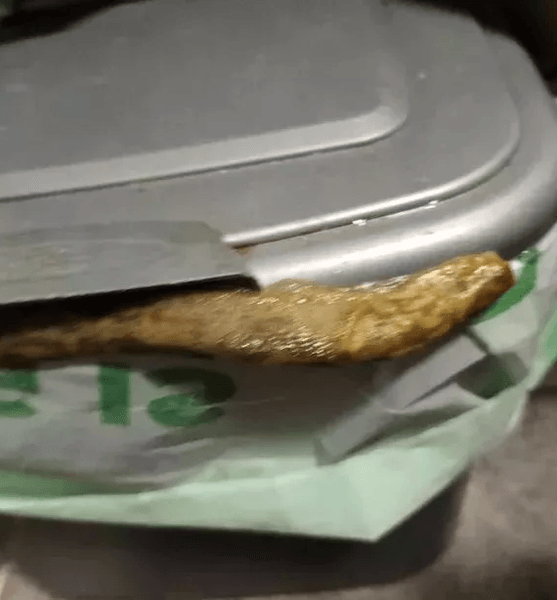 Величезний слимак, слимак, слимак, гігантські слимаки, слимаки панали на будинок пенсіонерки,