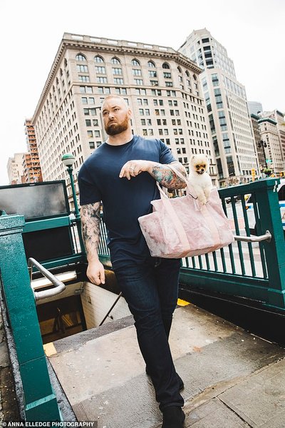 хафтор бьернссон, гора, григор клиган, игра престолов, собака, метро, померанцевый шпиц