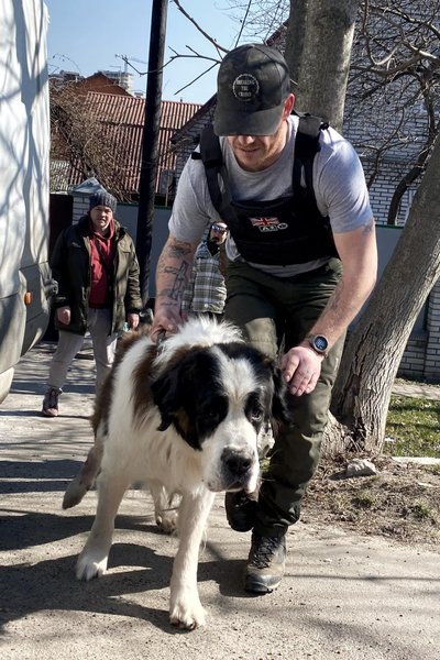 британский ветеран, ветеран том, спасение животных, иностранные добровольцы, иностранный легион, приюты для животных, война в украине