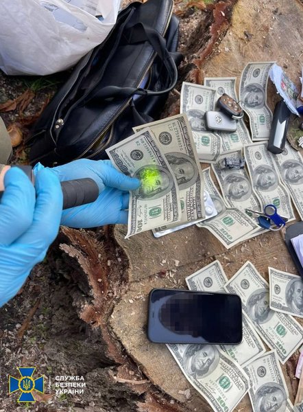 збу, валюта, затримання