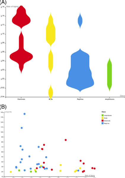 гіпотеза старіння ссавців, еволюційний вплив на старіння, тактика виживання давніх ссавців, генетичні механізми старіння, вплив епохи динозаврів на старіння, закономірності старіння тваринного царства