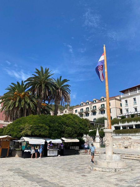 остров хвар пальмы