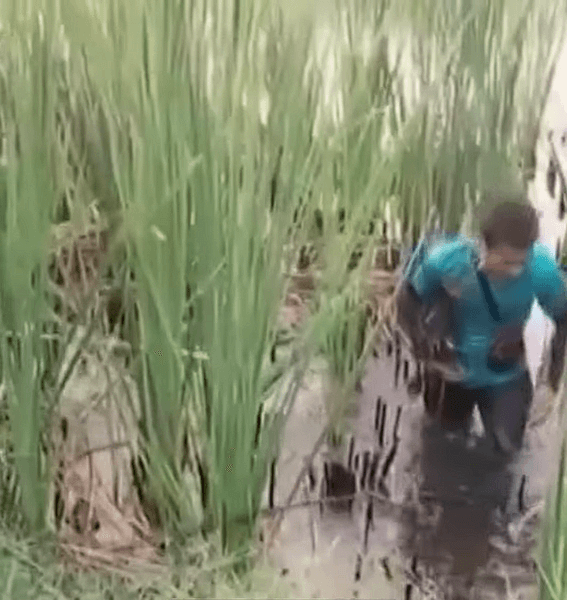 Мужчина пытался сбежать после кражи, полиция, кража, ограбление магазина, попросился в тюрьму, проблемы в семье