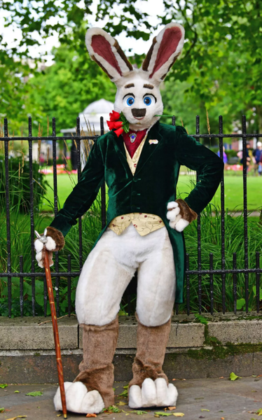 Члени субкультури фуррі, поліціант переодягається в собаку, фото, Австралія, курйози, хобі, захоплення