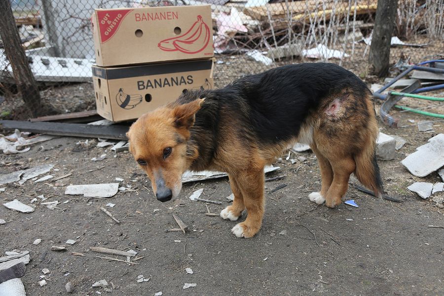 Чернигов и Новоселовка после обстрелов