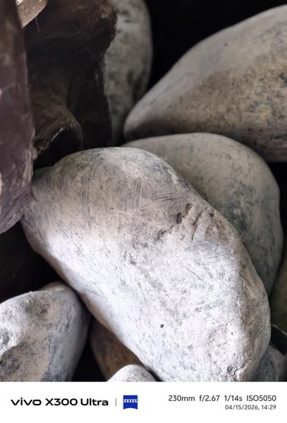 Приклади фото Vivo X300 Ultra