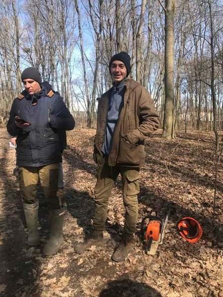 киев, голосеевский парк, дубы, деревья