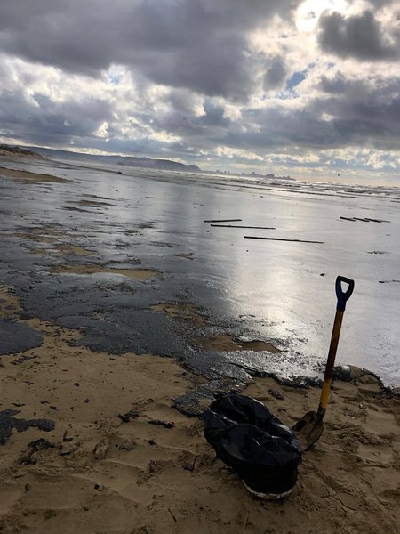 краснодарский край мазут, разлив мазута, авария танкеров