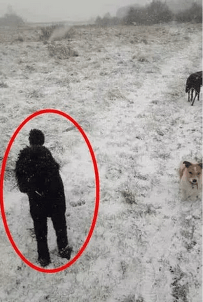 Оптична ілюзія