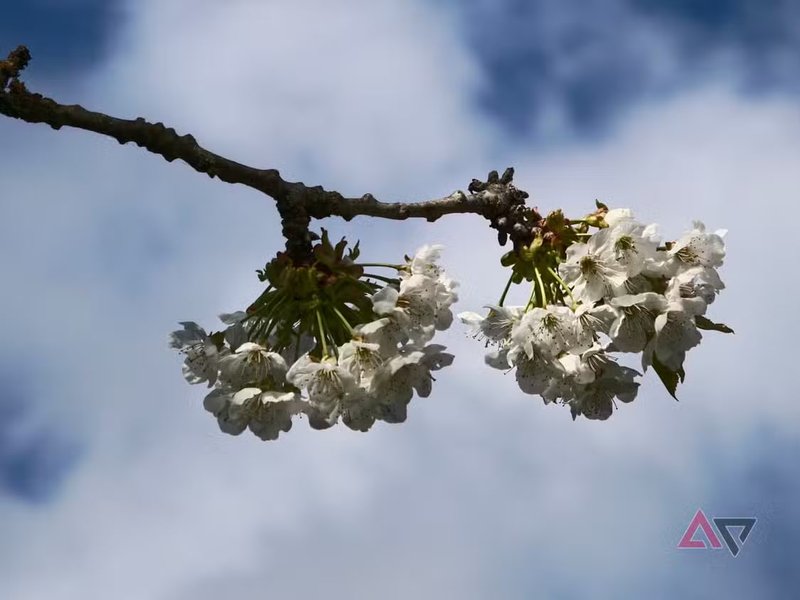 Фото на Oppo Find X9 Ultra