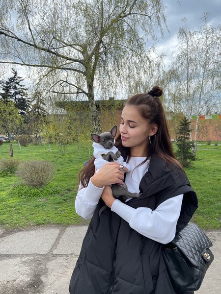 Всесвітній день домашніх тварин,  Всесвітній день домашніх тварин коли, 30 листопада - Надія Матвєєва, Всесвітній день домашніх тварин, домашні улюбленці, домаші тварини