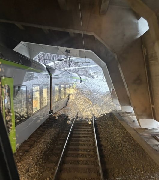 лавина швейцарія потяг