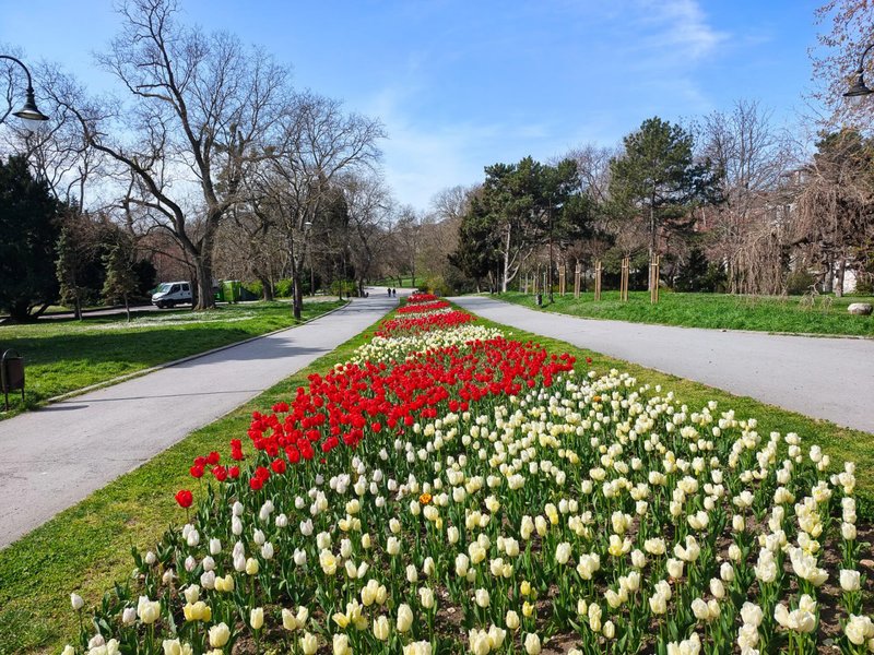 Фото на Motorola Signature