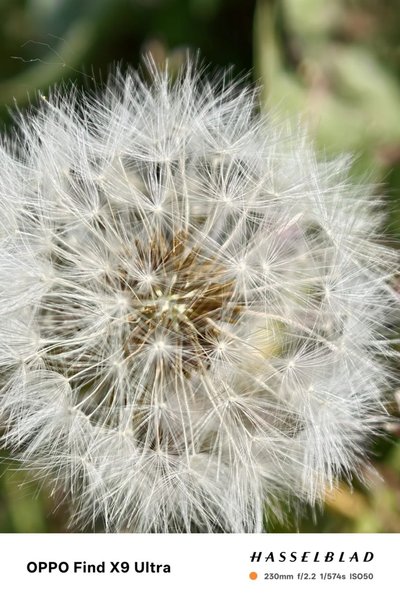 Фото на Oppo Find X9 Ultra Фото на Oppo Find X9 Ultra