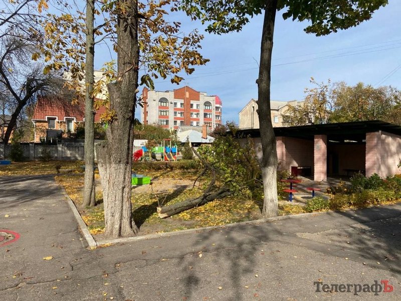 В Кременчуге скончалась девочка, на которую упало дерево
