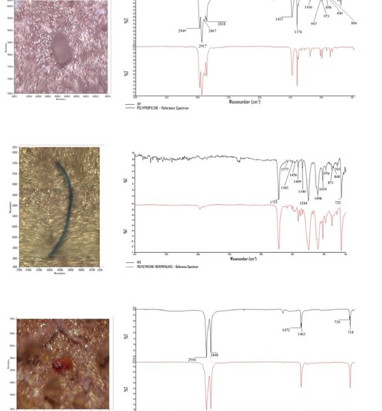 частицы микропластика, микропластик