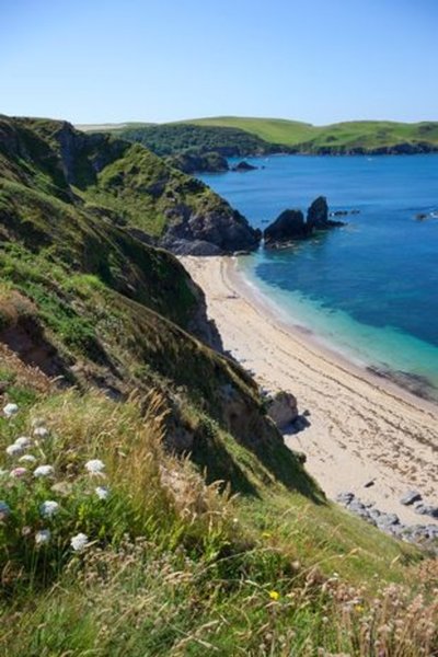 Обрыв, утес, собака, подросток, девушка, сорвалась с обрыва, полиция,