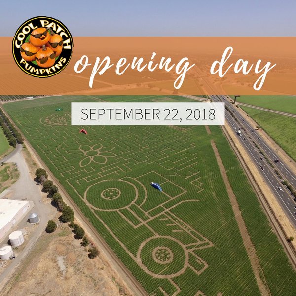 лабиринт, диксон, калифорния, кукуруза, 2018