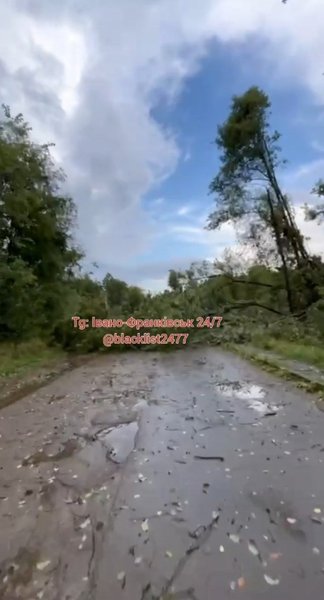 Ивано-Франкисская область — результат воздействия стихии