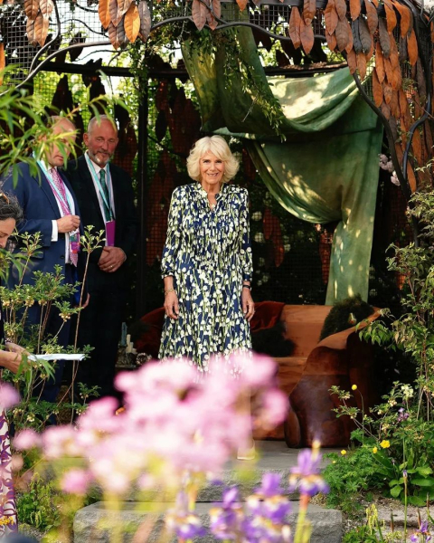 королева камилла Королева Камілла