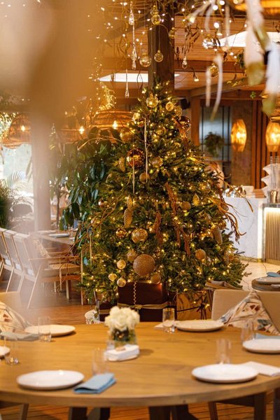 Harvest, Тищенко, Козин, Слуга народа, корпоратив, Новый год