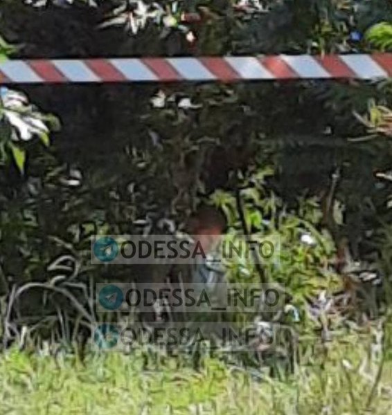 Іван Митькин