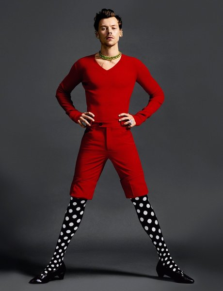 гарри стайлз, женское платье, One Direction