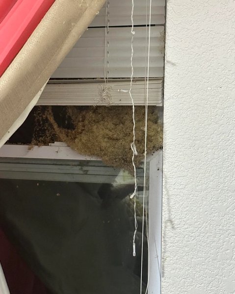 Родители убирались в комнате дочери и заметили нечто необычное