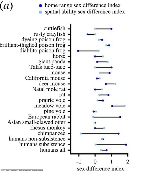 навигация виды