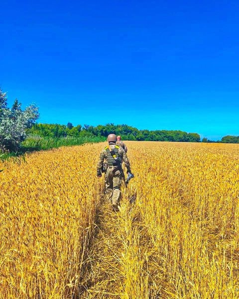 Конеферма обстрел выжившие кони животные тероборона бойцы