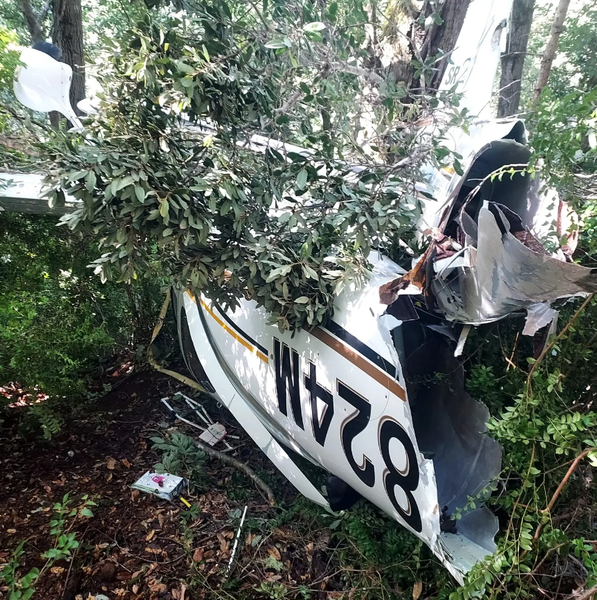 Авіакатастрофа в США, літак сів завдяки парашуту, курйози, фото, аварії, екстрена посадка