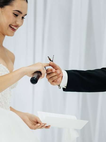 Бабочка на свадьбе